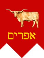 A tribal banner for the tribe of Ephraim. Ephraim is in Hebrew at the bottom of the banner.